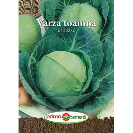 Seminte de varza toamna de Buzau