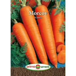 Seminte de morcov Flakee
