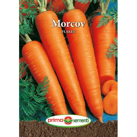 Seminte de morcov Flakee