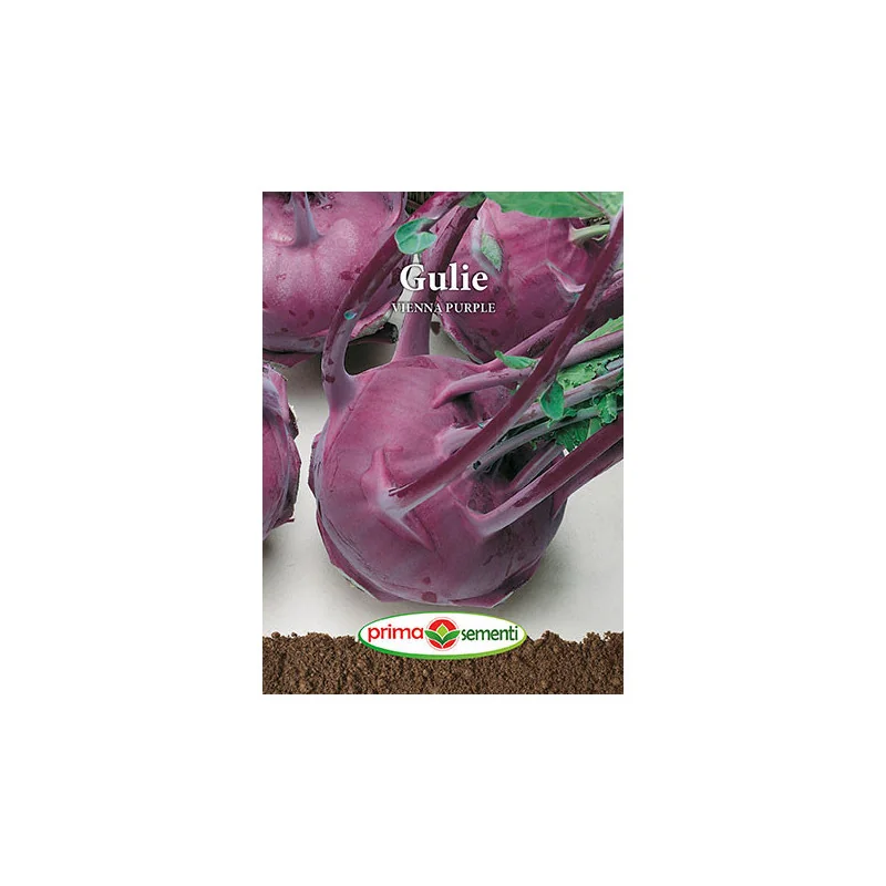 Seminte de gulie Vienna Purple
