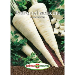 Seminte patrunjel radacina Bardowicker