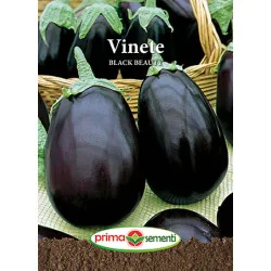 Seminte de vinete Black Beauty