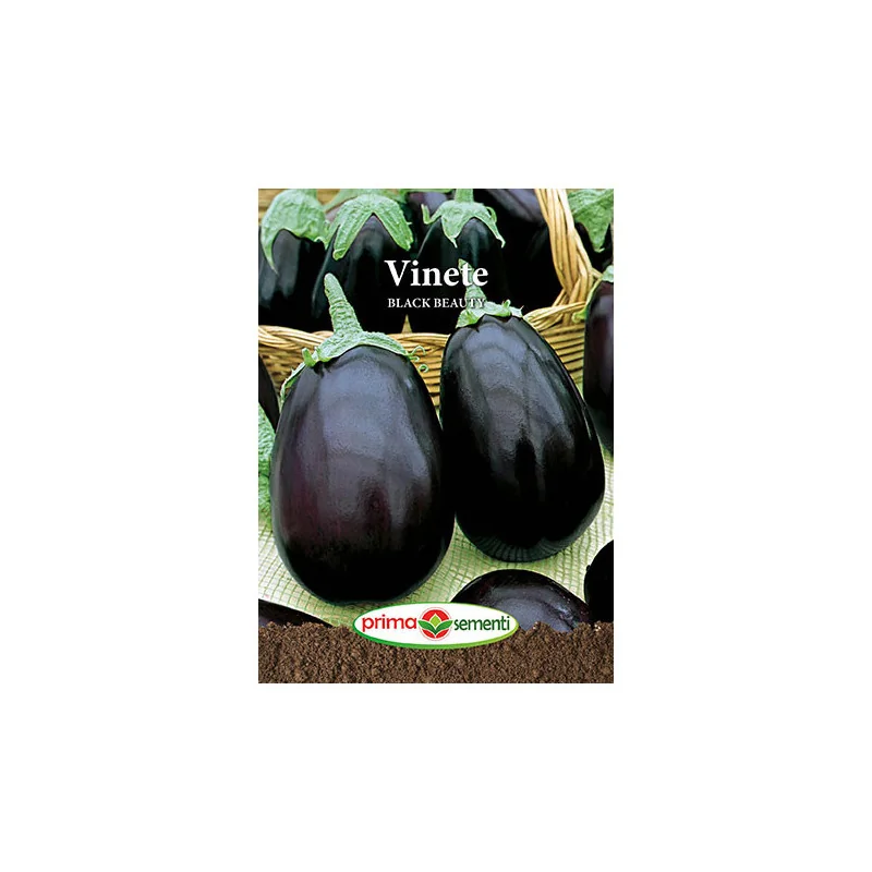Seminte de vinete Black Beauty