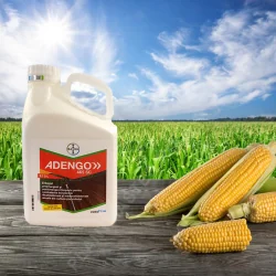 Erbicid Porumb Adengo 465SC ⭐ PlantMaster - Maestrul Culturii Tale