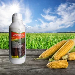 Erbicid Porumb Adengo 465SC ⭐ PlantMaster - Maestrul Culturii Tale