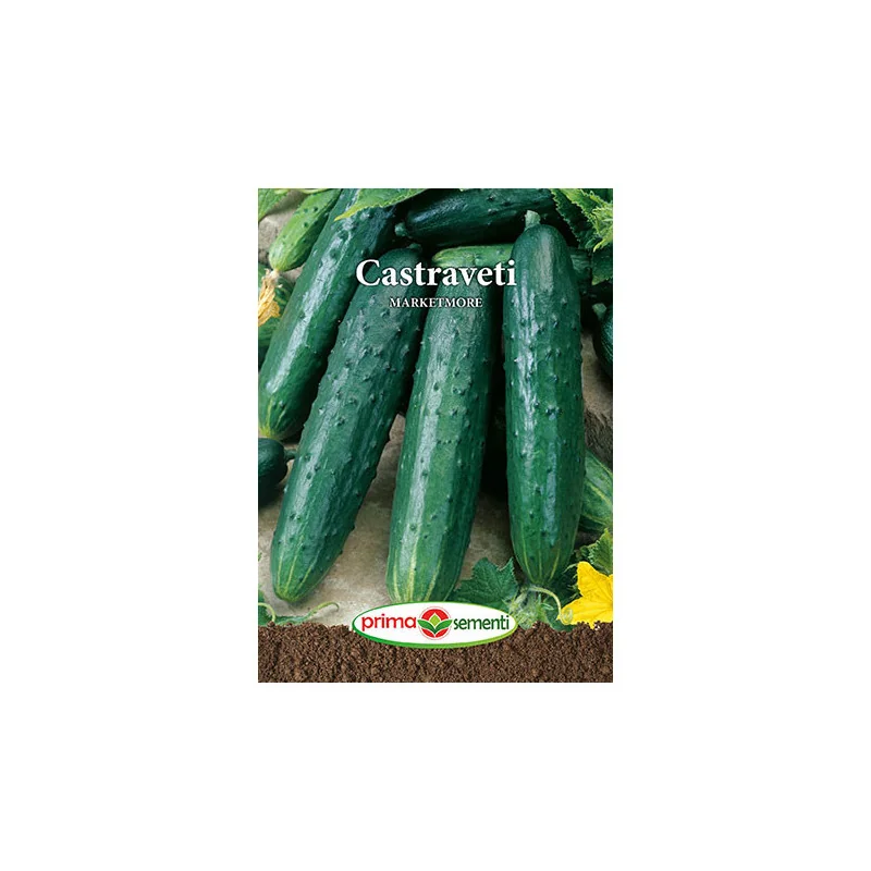 Seminte de castraveti Marketmore