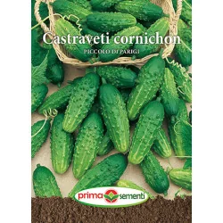 Seminte de castraveti cornichon Piccolo di Parigi