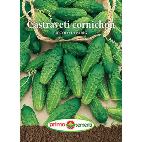 Seminte de castraveti cornichon Piccolo di Parigi