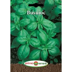 Seminte de busuioc