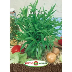 Seminte de Tarhon