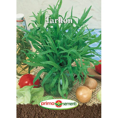 Seminte de Tarhon
