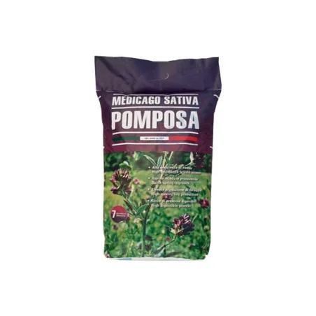 Sămânță lucernă Pomposa 10 kg