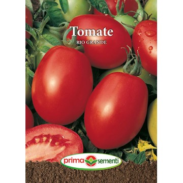 Seminte de tomate Rio Grande