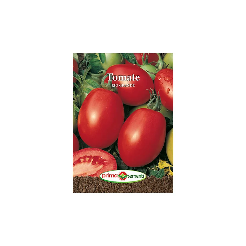 Seminte de tomate Rio Grande