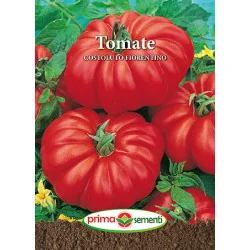 Seminte de tomate Costoluto Fiorentino