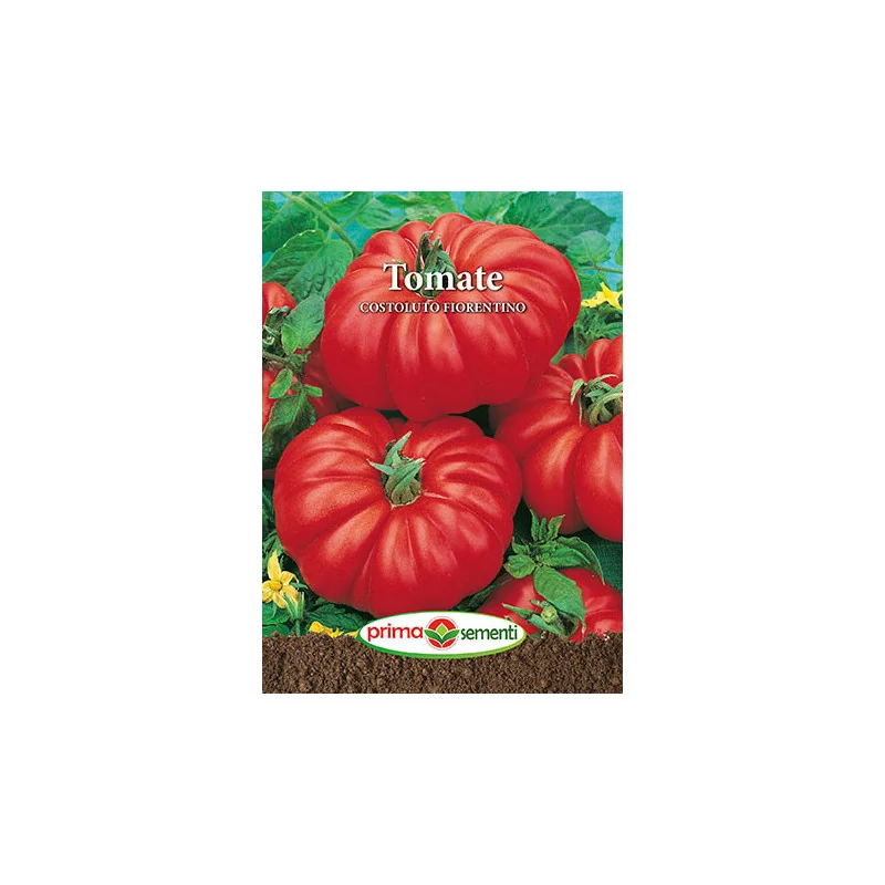Seminte de tomate Costoluto Fiorentino