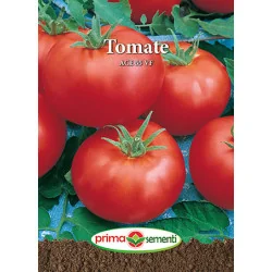 Seminte de tomate Ace 55 VF