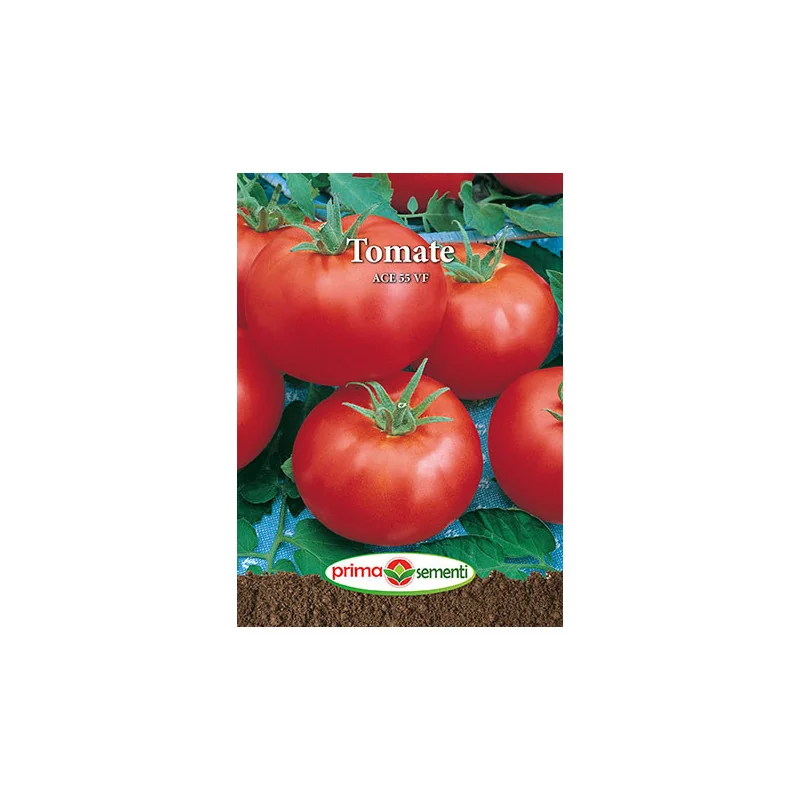 Seminte de tomate Ace 55 VF