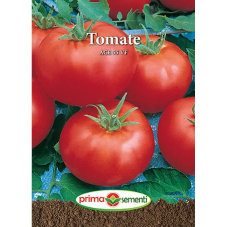 Seminte de tomate Ace 55 VF