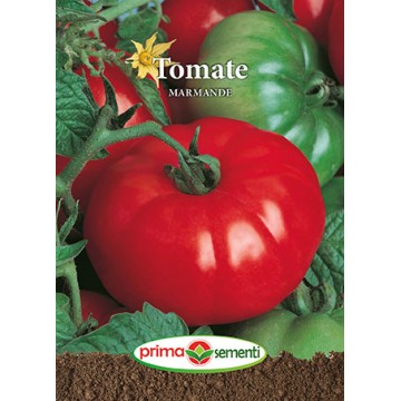 Seminte de tomate Marmande