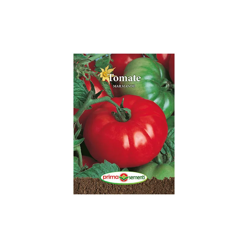 Seminte de tomate Marmande