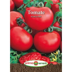 Seminte de tomate Marglobe