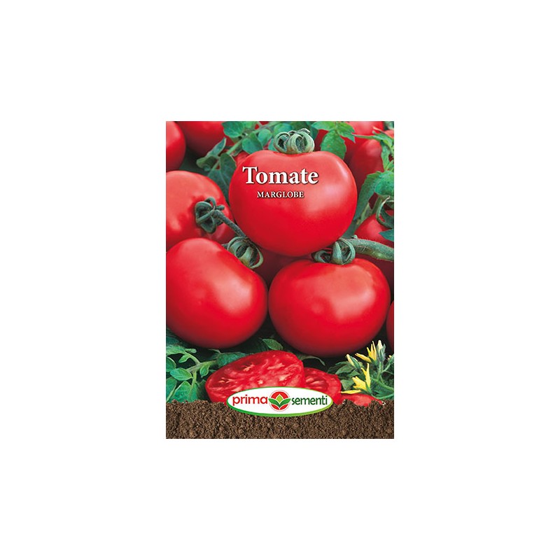 Seminte de tomate Marglobe