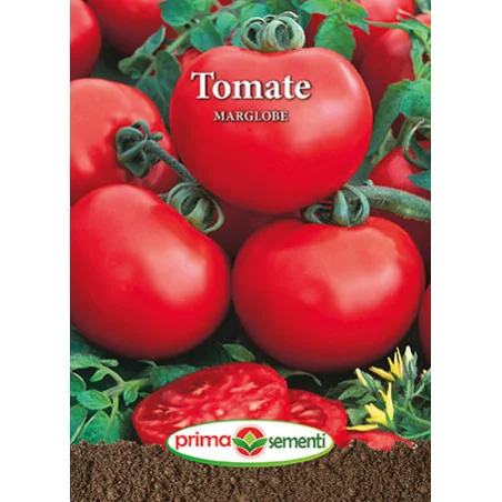 Seminte de tomate Marglobe