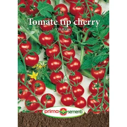 Seminte de tomate Ciliegia (tip cherry)