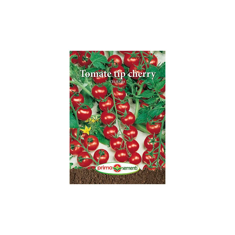 Seminte de tomate Ciliegia (tip cherry)