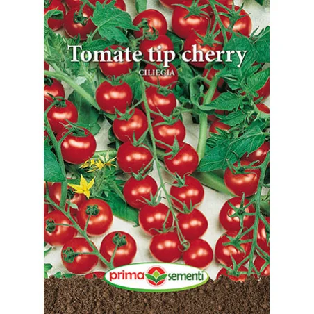Seminte de tomate Ciliegia (tip cherry)