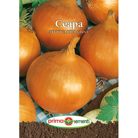 Seminte de ceapa Stuttgarter Giant