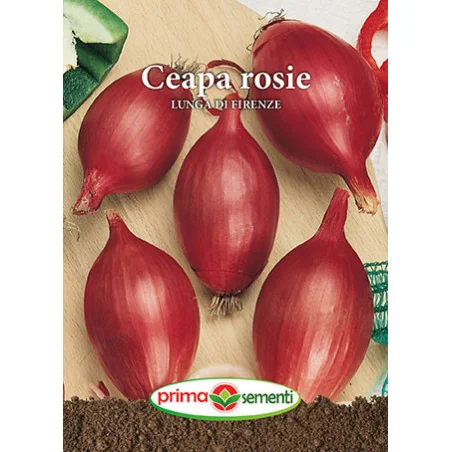 Seminte de ceapa rosie Lunga di Firenze