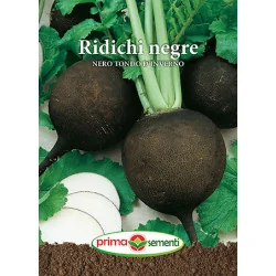 Seminte de ridichi negre Nero Tondo D'Inverno