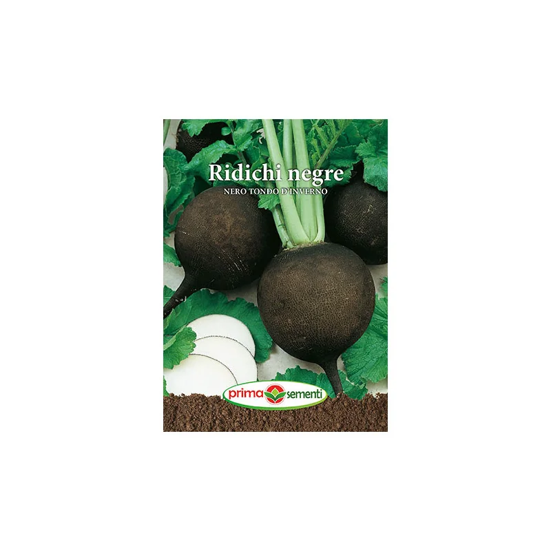 Seminte de ridichi negre Nero Tondo D'Inverno