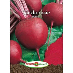 Seminte de Sfecla Rosie Detroit