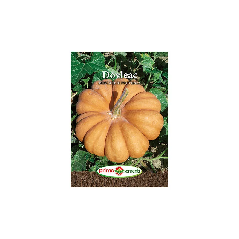 Seminte de dovleac Moscata di Provenza