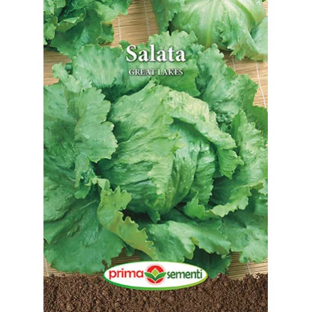 Seminte de salata Great Lakes