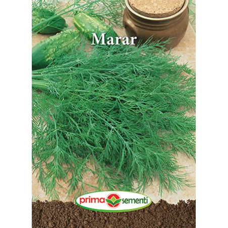 Seminte de Marar