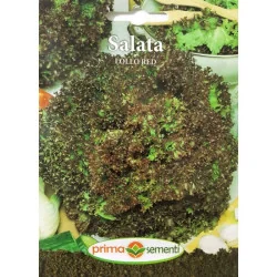Seminte de salata Lollo Red