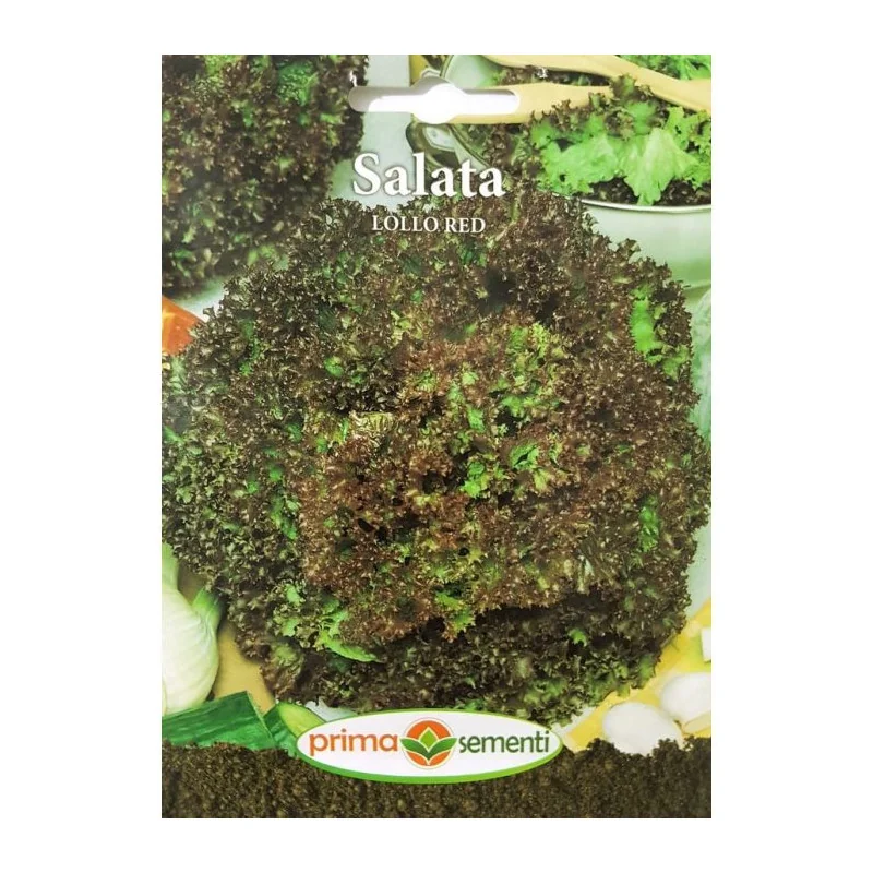 Seminte de salata Lollo Red