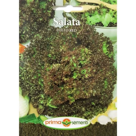 Seminte de salata Lollo Red