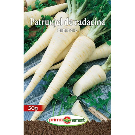 Seminte patrunjel de radacina Berliner 50 gr