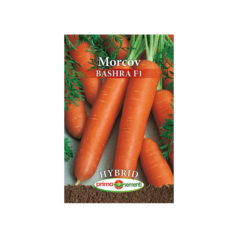 Seminte de morcov Bashra F1