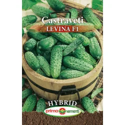 Seminte de castraveti Levina F1