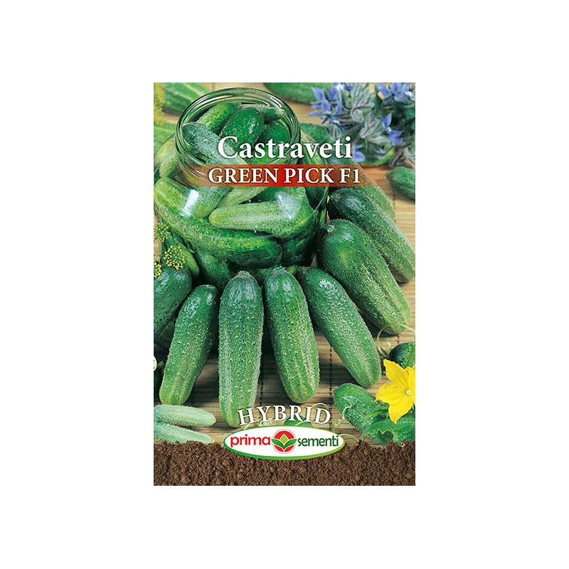 Seminte de castraveti Green Pick F1