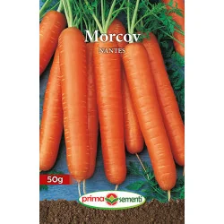 Seminte de morcov Nantes 50 gr