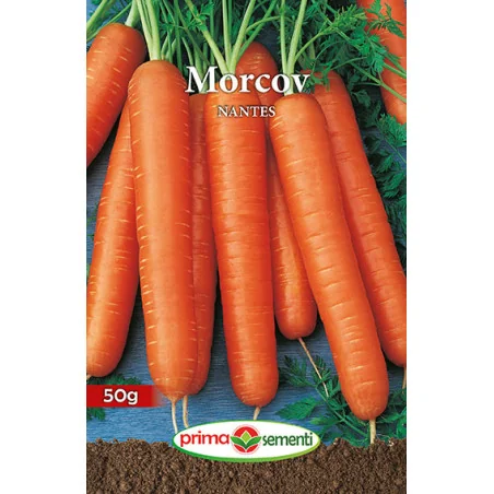 Seminte de morcov Nantes 50 gr