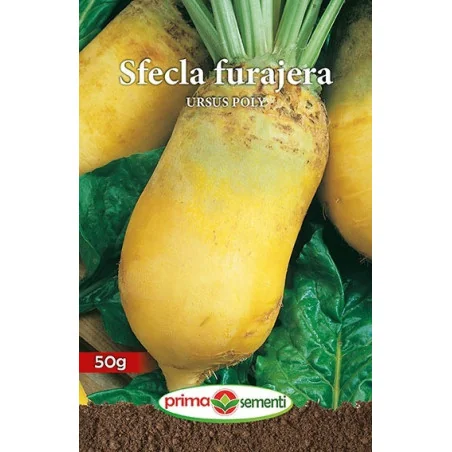 Seminte de sfecla furajera Ursus Poly