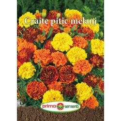 Seminte de flori Craite pitic melanj